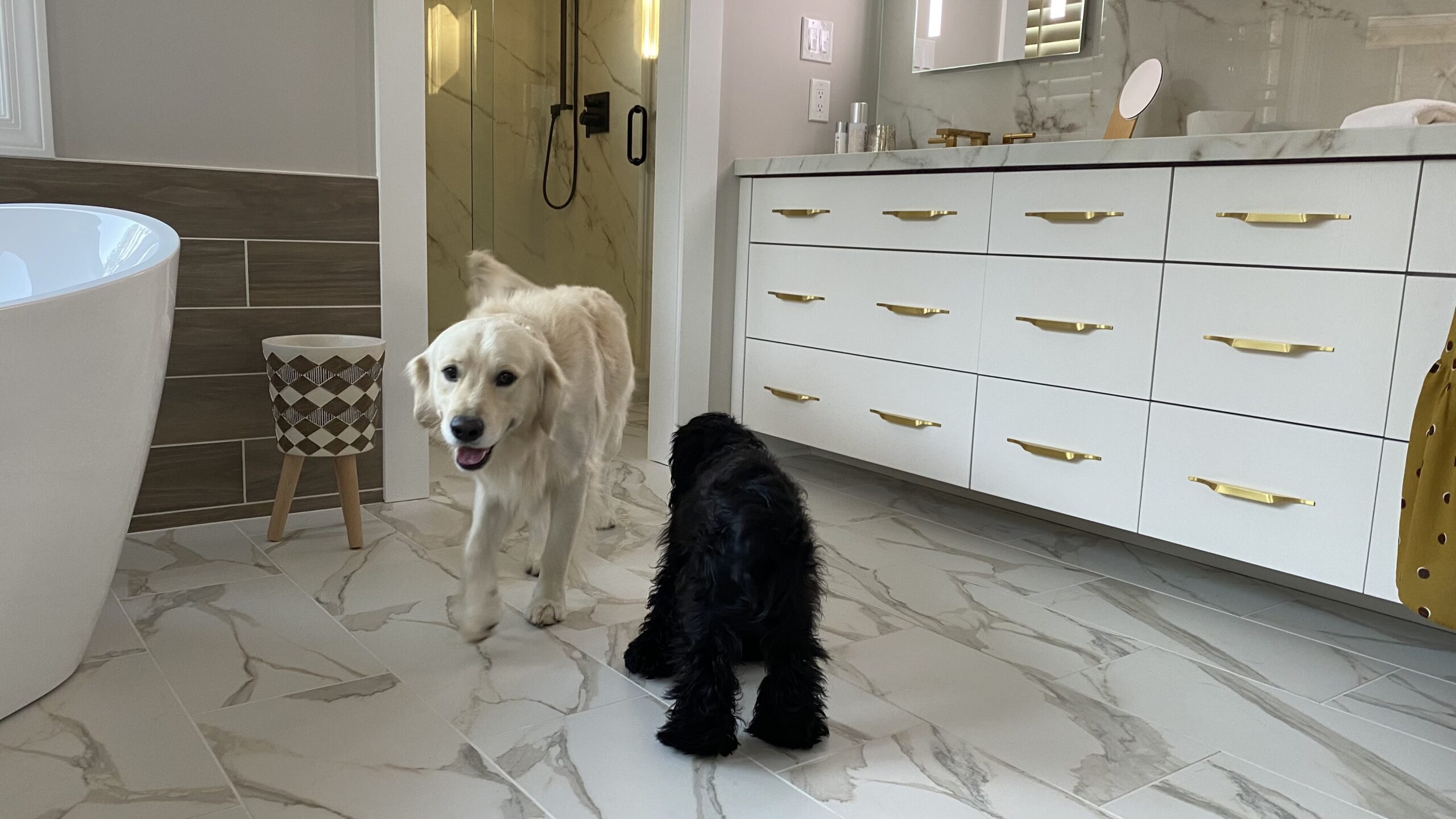 Doggo Master Bath | Coastal Floors
