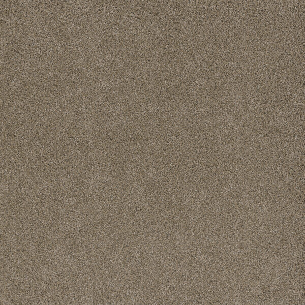 Stunning - Image 2