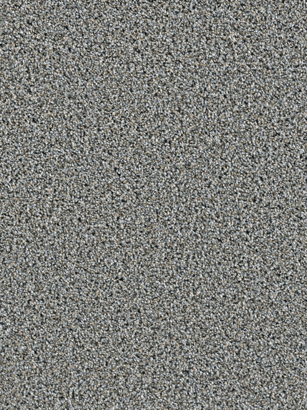 Dazzling - Image 2