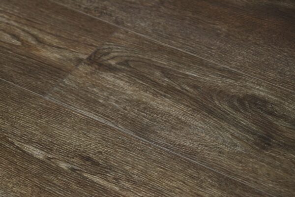 Shasta - Image 3