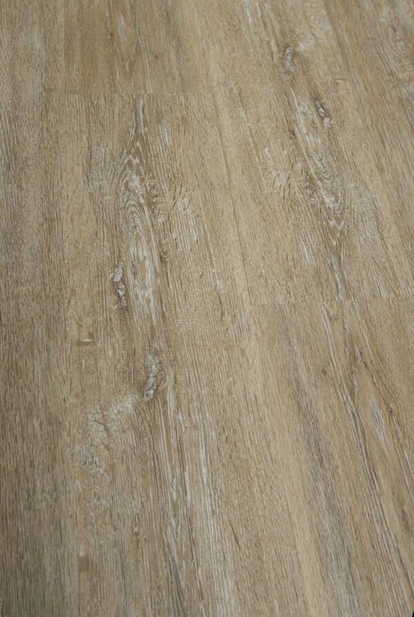 Alexa Oak - Image 2