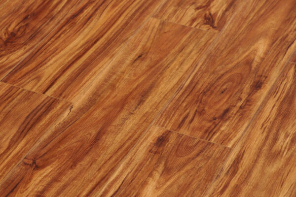 Amber Acacia - Image 2